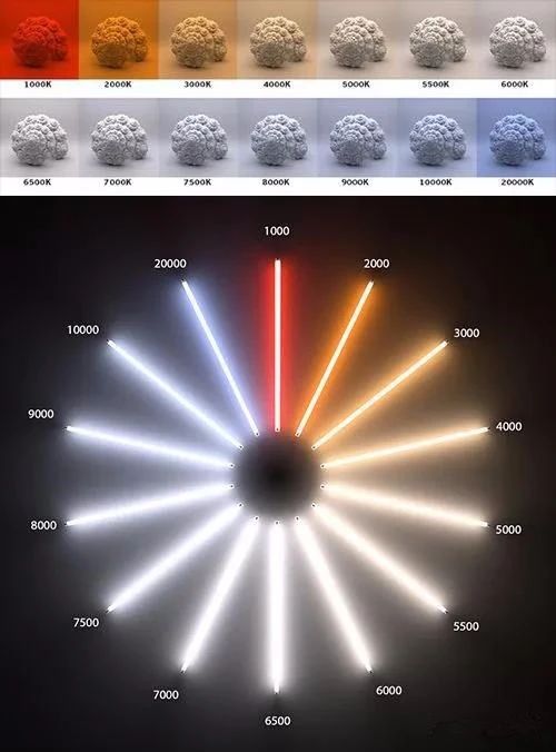 1625799372163558.jpg 9.jpg