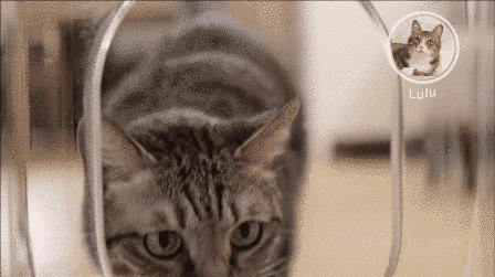 1645523840705720.gif 13.gif