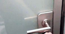 1645523962180997.gif 19.gif